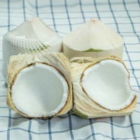 ?？压?海南椰青新鲜特产椰子6个/9个装